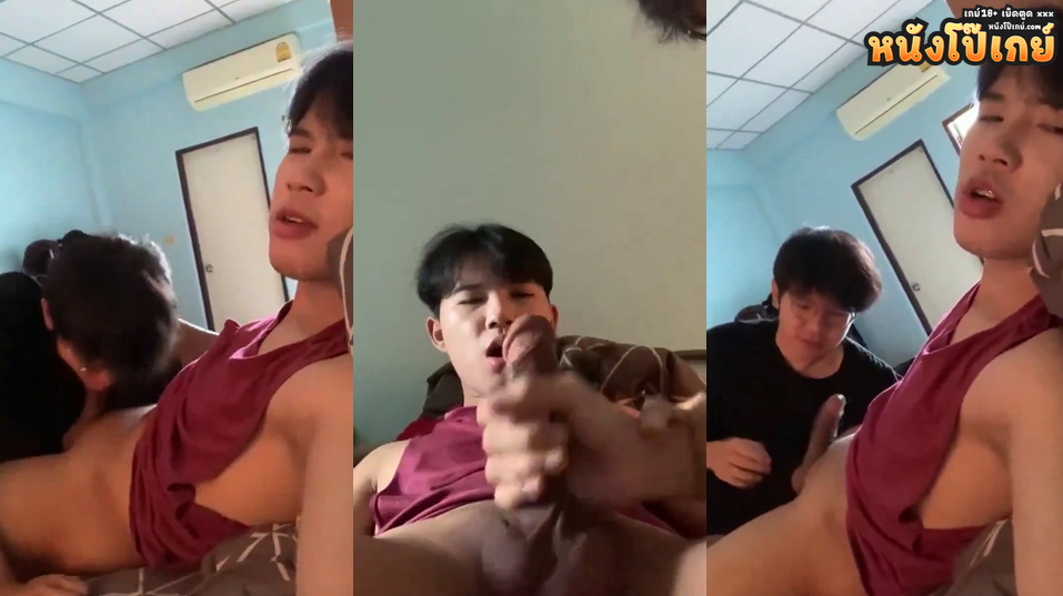 คลิปโป๊เกย์ เกย์หล่อหน้าตาโคตรดี ชายไทยแท้โคตรฟินเลยเรียกเพื่อนมาลองเย็ด อมควยให้โคตรดีเกย์แว่นหน้าตาโคตรน่ารักเห็นตอนอมควยแล้วเสียวมากแจ่มจัด